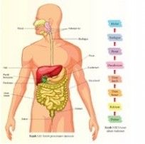 GGGB5613 Curriculum and Innovation in Education Assignment 2026 | UKM