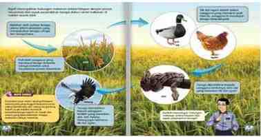 GGGB5613 Curriculum and Innovation in Education Assignment 2026 | UKM