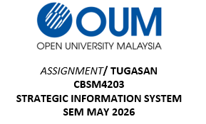 CBSM4203 Strategic Information System Assignment